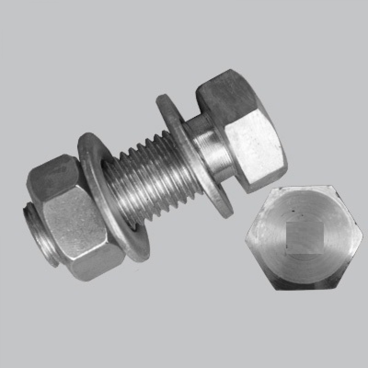 Bu l&ocirc;ng, ốc v&iacute;t