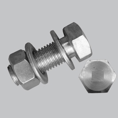 Bulong, ốc v&iacute;t